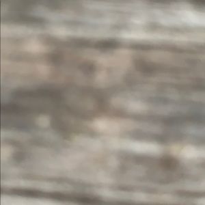 Meet your Posher, Mya